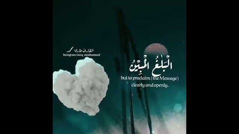 القارئ طارق محمد /قرآن كريم/تلاوة عطرة/ مقاطع قصيرة/ حالات واتساب