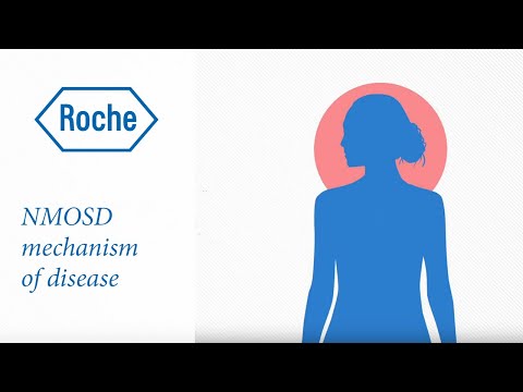 Neuromyelitis optica spectrum disorder | Mechanism of disease