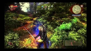 Walkthrough: The Witcher 2 HD - Part 14 - In the Claws of Madness - Witcher