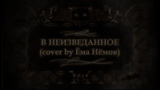 По Ту Сторону Изгороди - В Неизведанное (cover by Ёма Нёмов)