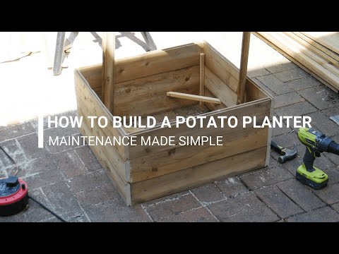 Vídeo: DIY Plantador de batata palete - Aprenda sobre o crescimento da caixa de batata palete