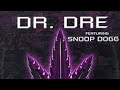 Kara Lord Still Remix Dr Dre Ft Snoop Dogg Still D R E 