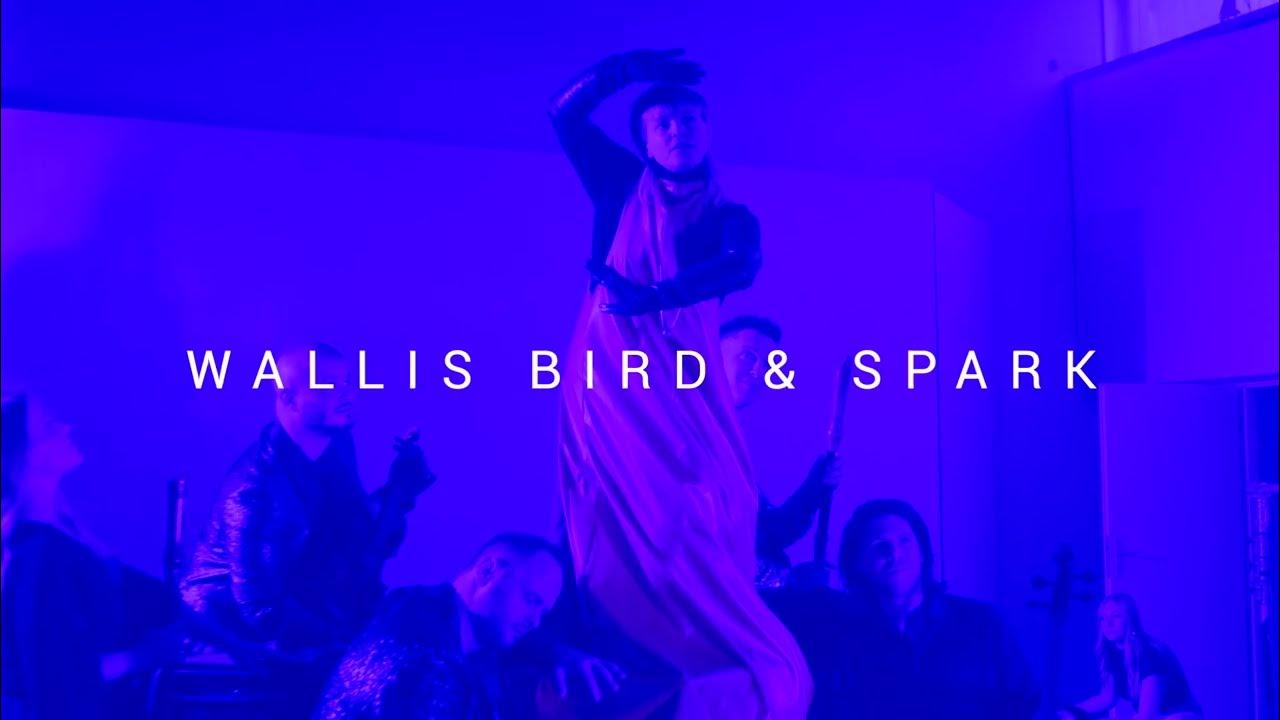 wallis bird spark tour dates