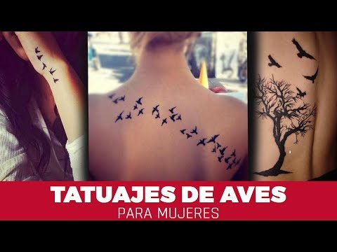 Tatuajes de Aves para Mujeres y su Significado