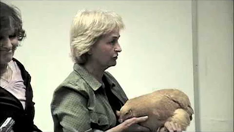 Patricia Foreman Speaks To Lexington, VA. City Cou...