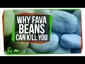Why fava beans can kill you