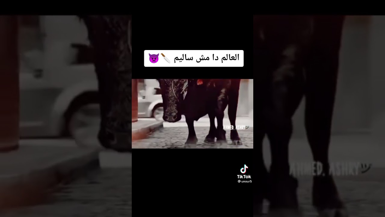 اغنيه العالم دا مش ساليم