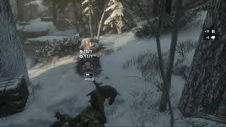 Rise Of The Tomb Raider Expedition Mode