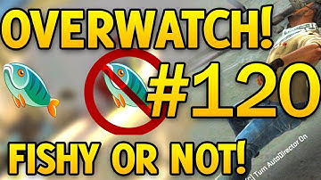 Whats a Hacker? Kappa - Fishy Or Not Fishy #120 - CSGO Overwatch