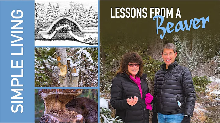 Lessons From a Beaver