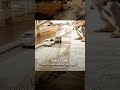 الوقاحه هي أن تنسى فعلك وتحاسبني على ردة فعلي