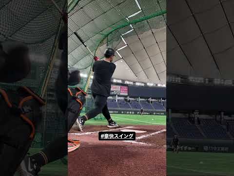 岡本和真の豪快スイング(試合前練習) #shorts