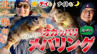 【デイもナイトも釣れッ釣れ】カンタン！オカッパリ・メバリング 北野雅朗