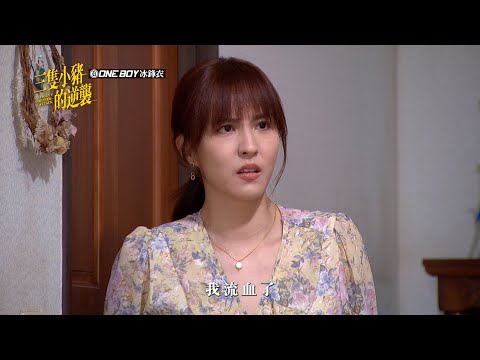 【三隻小豬的逆襲 Piggy's Counterattack】EP30 曉筠要流血了？！ 預告
