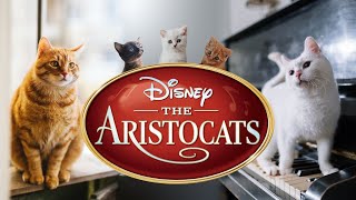 The aristocats (Fanmade) - Live Action Teaser Trailer Concept 2023 Disney Movie HD