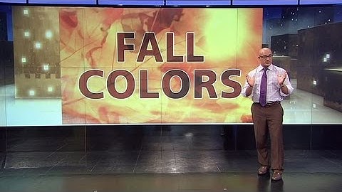Will Rain Mute Beautiful Fall Colors?