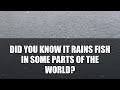 5 Incredible Natural Phenomena You Won't Believe! #shorts