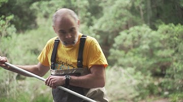 2. National Waterbug Blitz - Waterbug Sampling Methods