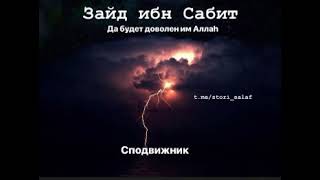 Зайд Ибн Сабит Сподвижник