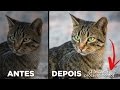 3 Dicas Poderosas Para Deixar Fotos De Retrato 5x Melhores