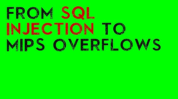 For Beginners: From SQL Injection to MIPS Overflows