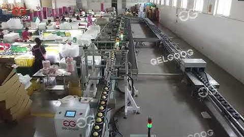 Automatic Apple Sorting System Manufacturer