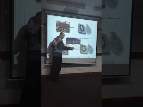 2 د ناصر العريقي اختبار النموذج الوسيطي باربع طرق محك سوبيل بوتسترابنج مونتي كارلو تقدير ب