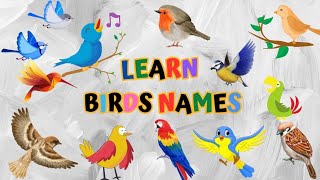 Birds name | birds name with spellings, pictures and video l Birds Name In English for kids.