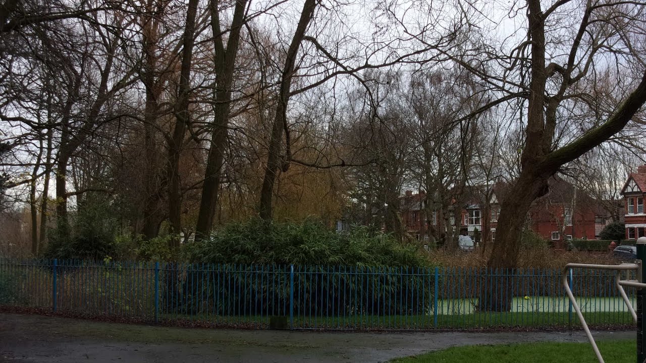 Lunch in Central Park, Wallasey. Dec 9th, 2020 YouTube