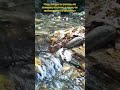 у нас очень мало времени