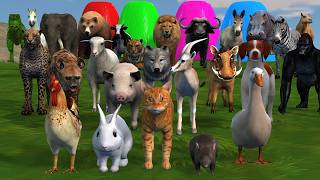 Long Slide Game With Cow Elephant Gorilla Hippopotamus Lion 3d Animal Game Funny 3d Animals screenshot 2
