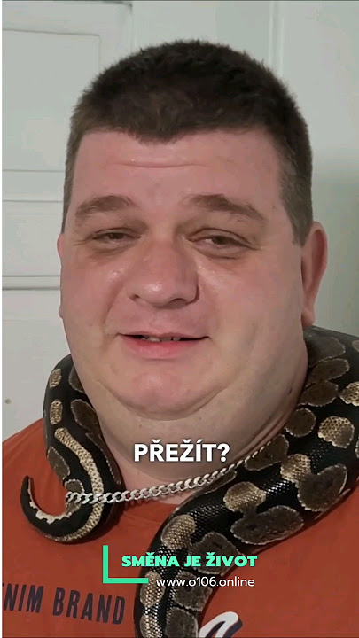 🟩 Když jdeš směnit pexeso za kytaru a narazíš na Krajtu královskou 😀 #smenajezivot @YouTube