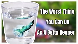 The Worst Mistake Betta Keepers Make...