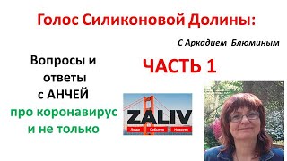 ЧАСТЬ 1. ответы на Вопросы канала Силиконовой Долины - Аркадий Блюмин СанХосе.