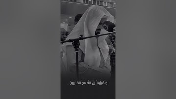شيخ رعد محمد الكردي اجمل حالات واتس اب دينية قرآن الكريم فيديو قصيرة سورة الأنفال 🌼💙