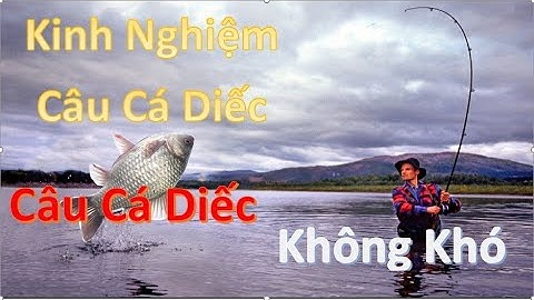 Kinh Nghiệm Câu Cá Diếc, Câu Cá Diếc Không Khó.l Câu Cá TV
