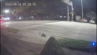 340531882 6429746807037119 149246177008331505 n