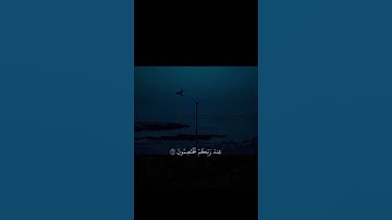 تلاوة هادئه ومريحة جدا ❤️#القارئ #ياسر_الدوسري #راحة_نفسية #اكسبلور #قرآن #قران_كريم #quran