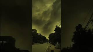 Dragon Caught In The Camera