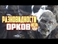 Монстрология: Орки (Властелин Колец)