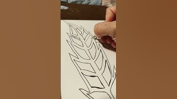 Drawing a feather and flower zen tangle artwork part1