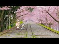 【WEB 動画】2018年 春 「王道」篇 （スマートEX）そうだ 京都、行こう。