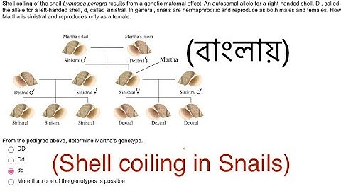 Maternal effects | shell coiling in snails|