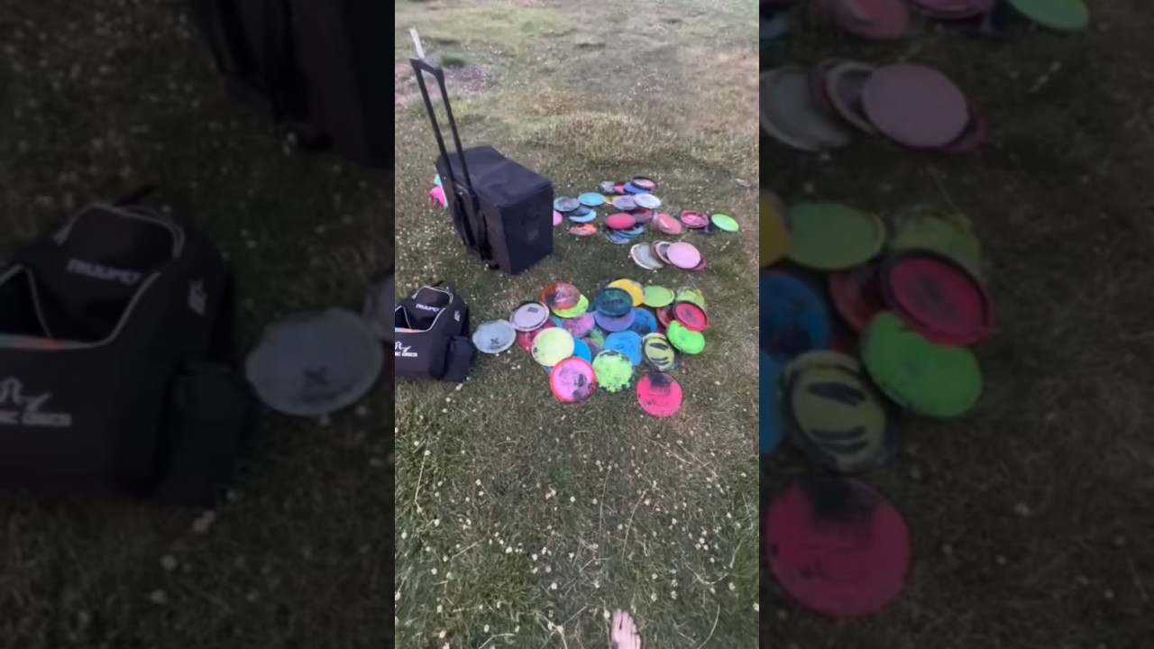Have I ever found tried a disk golf course?