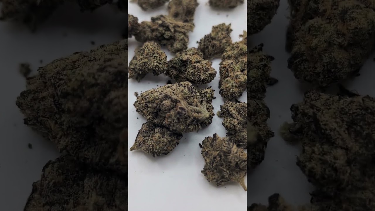 jk distro Divine mothers