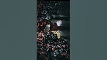 قران كريم استمع لا تهرب