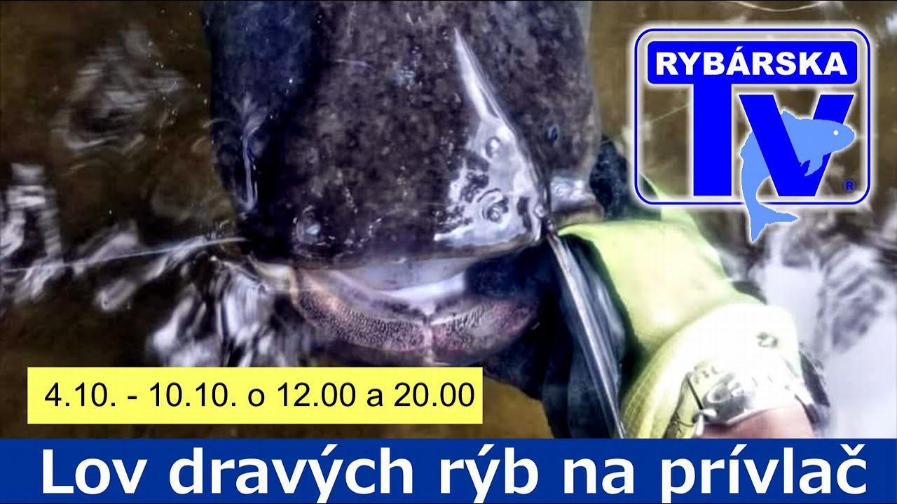 AKO NA LOV SUMCOV TECHNIKOU PRÍVLAČ