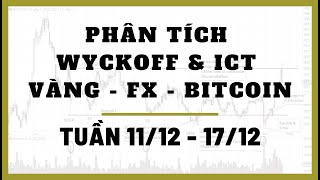 ✅ Phân Tích VÀNG-FOREX-BITCOIN Tuần 11-17/12 Theo Phương Pháp WYCKOFF & ICT | TraderViet