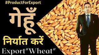 ProductForExport 24: Wheat || Export Wheat Flour || गेहूँ निर्यात करें || @CosmoDigitalExim