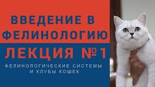 Введение в фелинологию - Лекция №1 Фелинологические системы и клубы кошек